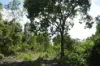 150 Moollock Road, Dundee Beach, NT 0840-Image
