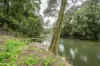 1502 Orara Way, Nana Glen, NSW 2450-Image