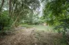 1502 Orara Way, Nana Glen, NSW 2450-Image