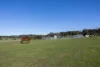 151 Appleby Road, Northdown TAS 7307-Image