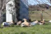151 Appleby Road, Northdown TAS 7307-Image