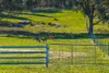 1519 Upper Moore Creek Road, Tamworth, NSW 2340-Image