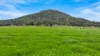 1519 Upper Moore Creek Road, Tamworth, NSW 2340-Image