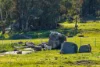 1519 Upper Moore Creek Road, Tamworth, NSW 2340-Image
