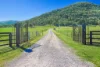 1519 Upper Moore Creek Road, Tamworth, NSW 2340-Image
