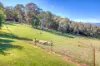 152 Tawonga Gap Road, Bright, Vic 3741-Image