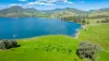 1523 Murray River Rd, Talgarno, Vic 3691-Image