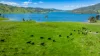 1523 Murray River Rd, Talgarno, Vic 3691-Image