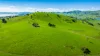 1523 Murray River Rd, Talgarno, Vic 3691-Image
