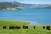1523 Murray River Rd, Talgarno, Vic 3691-Image