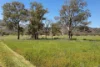 1532 Castlereagh Highway, Mudgee, NSW 2850-Image