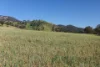1532 Castlereagh Highway, Mudgee, NSW 2850-Image