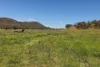 1532 Castlereagh Highway, Mudgee, NSW 2850-Image