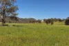 1532 Castlereagh Highway, Mudgee, NSW 2850-Image