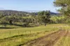 154 A Jersey Place, Cobargo, NSW 2550-Image
