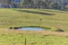 154 A Jersey Place, Cobargo, NSW 2550-Image