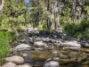 154 A Jersey Place, Cobargo, NSW 2550-Image