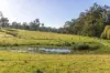 154 A Jersey Place, Cobargo, NSW 2550-Image
