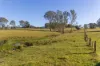 154 A Jersey Place, Cobargo, NSW 2550-Image