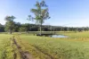 154 B Jersey Place, Cobargo, NSW 2550-Image