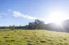 154 B Jersey Place, Cobargo, NSW 2550-Image