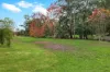 155 Beards Track, Shady Creek, Vic 3821-Image