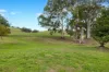 155 Beards Track, Shady Creek, Vic 3821-Image