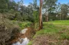 155 Beards Track, Shady Creek, Vic 3821-Image