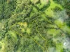 155, Brogers Creek NSW 2535-Image