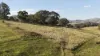 155 Ensay - Doctors Flat Road, Ensay, Vic 3895-Image