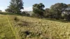 155 Ensay - Doctors Flat Road, Ensay, Vic 3895-Image