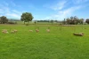 155 Molineux Road., Tarlee, SA 5411-Image