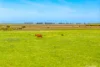 155 Monument Road, Hindmarsh Island, SA 5214-Image