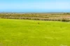 155 Monument Road, Hindmarsh Island, SA 5214-Image
