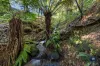 155 Old Colac Road, Beech Forest, Vic 3237-Image