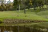 155 Q9 Lane, Ellalong, NSW 2325-Image