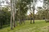 155 Q9 Lane, Ellalong, NSW 2325-Image