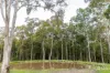 155 Q9 Lane, Ellalong, NSW 2325-Image
