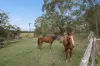 1550 Armidale Road, Temagog, NSW 2440-Image