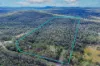 1550 Armidale Road, Temagog, NSW 2440-Image