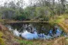 1550 Armidale Road, Temagog, NSW 2440-Image