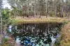1550 Armidale Road, Temagog, NSW 2440-Image