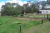 1550 Armidale Road, Temagog, NSW 2440-Image