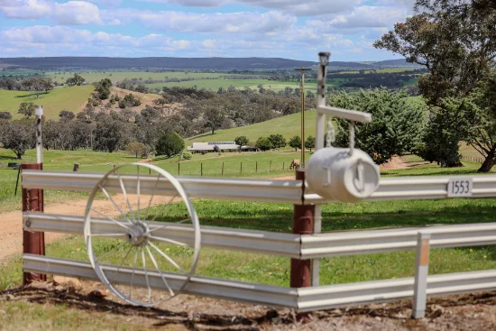1553 Geegullalong Rd via, Young, NSW 2594 - For Sale