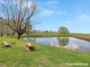 1557 Mid Western Highway, Evans Plains, NSW 2795-Image