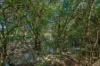 157 Jacks Road, Gloucester NSW 2422-Image
