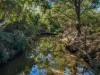 157 Jacks Road, Gloucester NSW 2422-Image