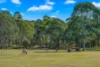 157 Jacks Road, Gloucester NSW 2422-Image