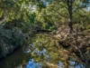157 Jacks Road, Gloucester NSW 2422-Image