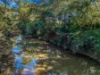 157 Jacks Road, Gloucester NSW 2422-Image